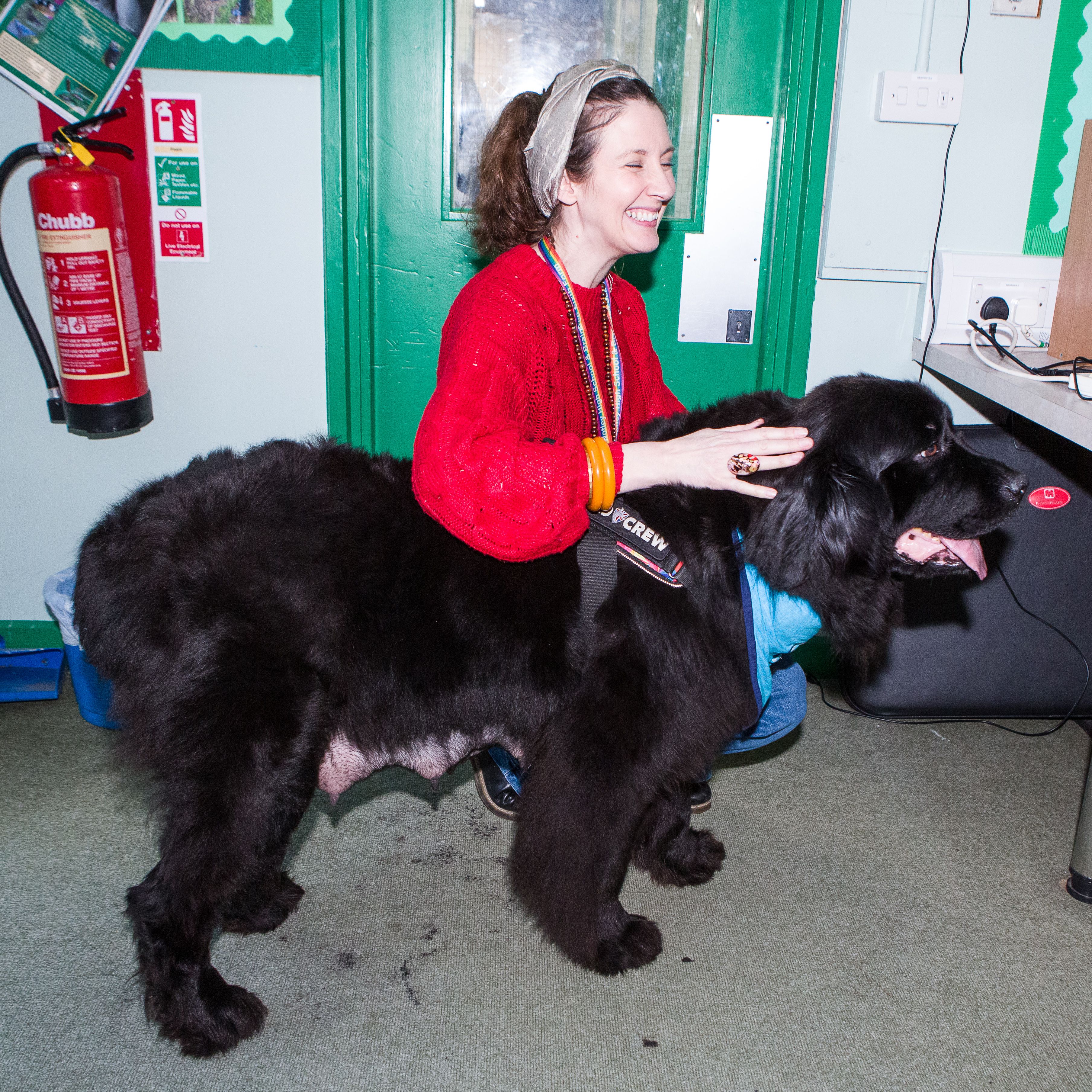 NalaTherapyDog070324-007.jpg