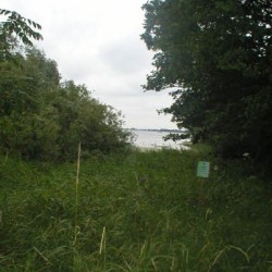 hanningfield2004 097