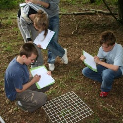 hanningfield2007 094