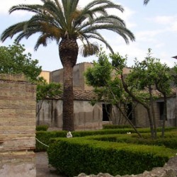 herculaneum 033