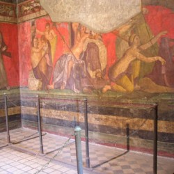 pompeii 144