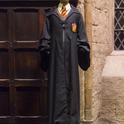 HarryPotterTour240614 059 2