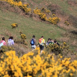 Slapton2012 022