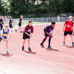 district sports essex 2016 31