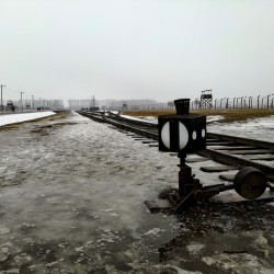 AuschwitzBirkenauFeb2017 099