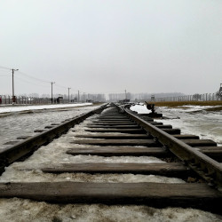 AuschwitzBirkenauFeb2017 100