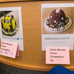 EasterBonnetCompetition300317 021