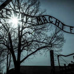 Day2Auschwitz 010