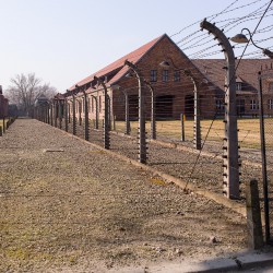 Day2Auschwitz 011