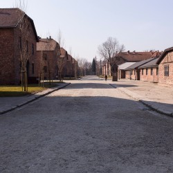 Day2Auschwitz 017