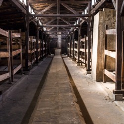 Day2Birkenau 012