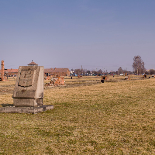 Day2Birkenau 059