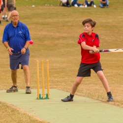 CharityCricketMatch050718 089