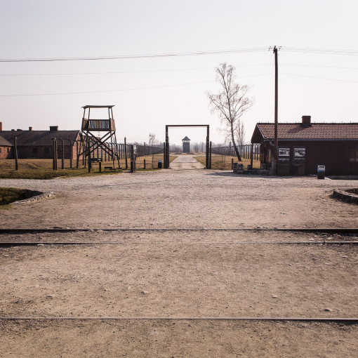 Day2Birkenau 064