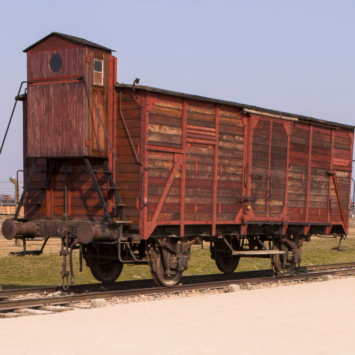 Day2Birkenau 065