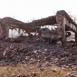 Day2Birkenau 077