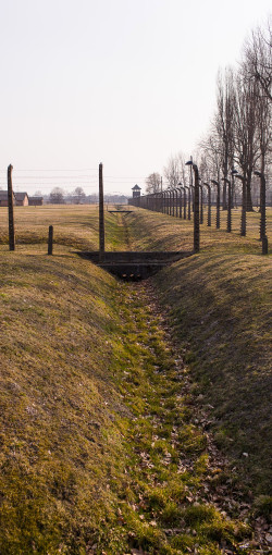 Day2Birkenau 094