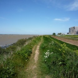 Bradwell 2009 0083