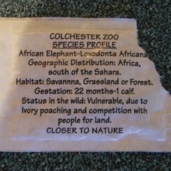 ColchesterZoo180108 021