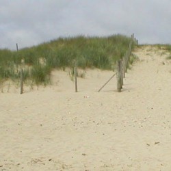 studland2004 008