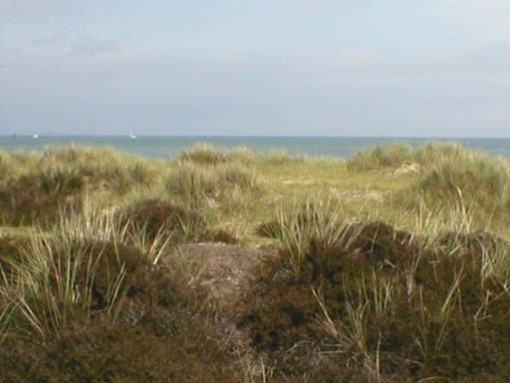 studland2004 012