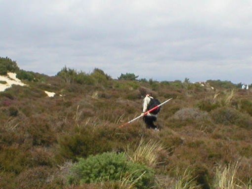 studland2004 040