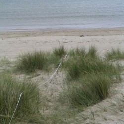 studland2004 042